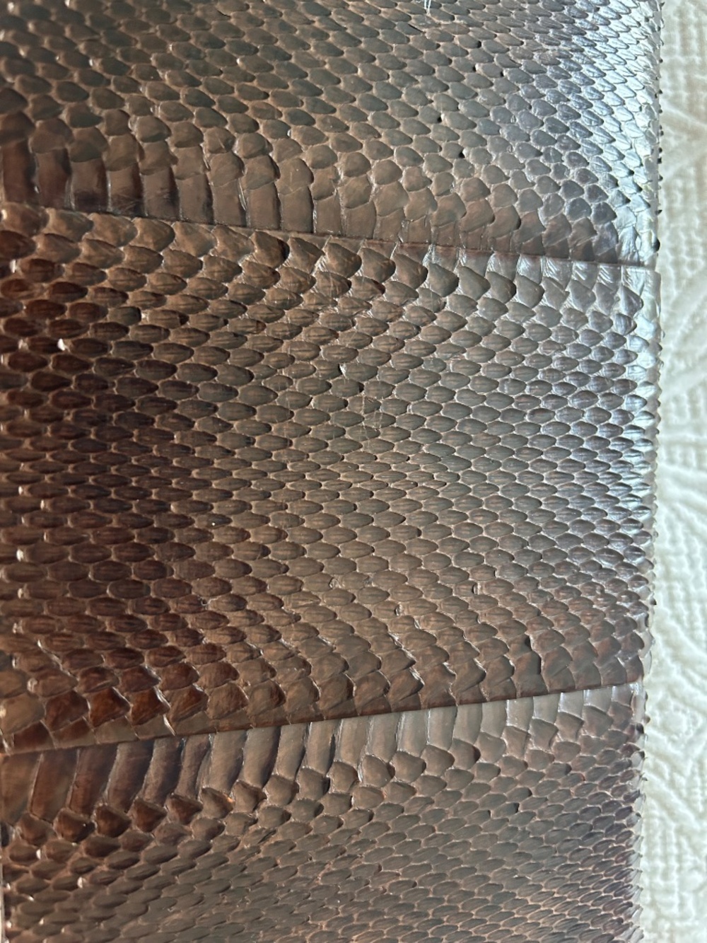 Vintage Dark Brown Snake Skin Clutch and Leather Interior - Picture 3 of 7